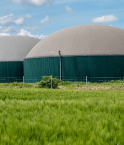 Read more about the article How clean is energy from anaerobic digestion?