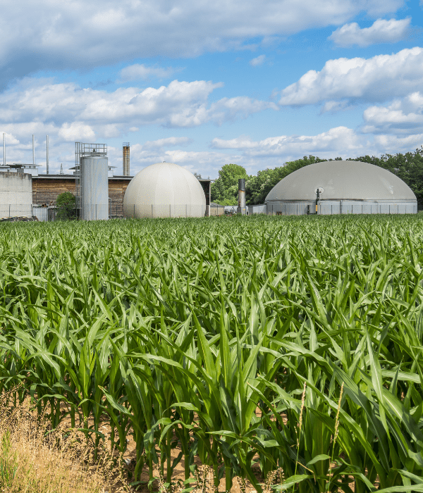 How can biogas production by anaerobic digestion be optimised? website article AMZCO Construction