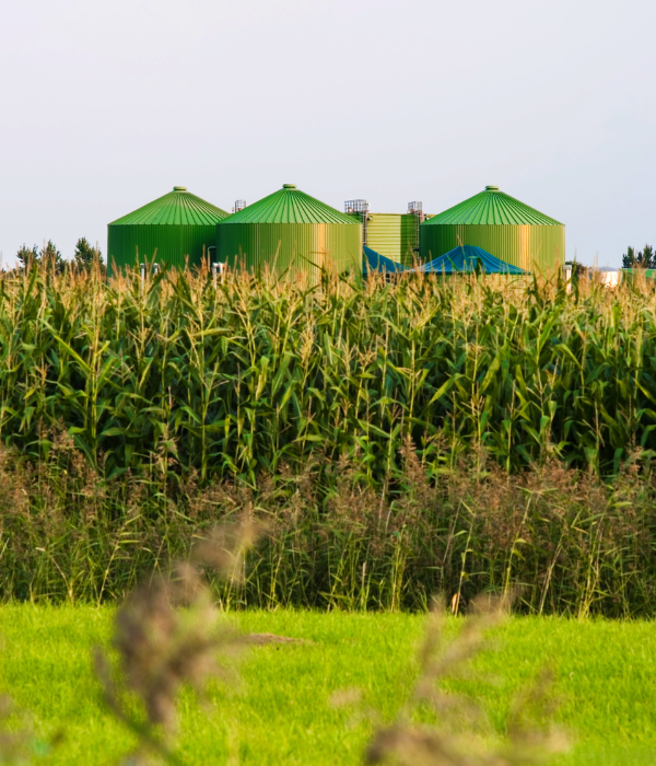 5 uses and advantages of biogas website article AMZCO Construction